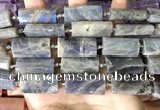 CTB674 14*27mm - 15*28mm faceted flat tube labradorite beads