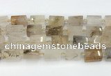 CTB872 13*25mm - 14*19mm faceted tube scenic quartz beads