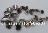 CTD1618 Top drilled 15*25mm - 30*45mm freeform botswana agate beads