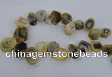 CTD1635 Top drilled 15*20mm - 25*35mm freeform agate beads