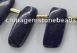 CTD1924 Top drilled 15*20mm - 15*45mm freeform lapis lazuli beads