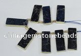 CTD1947 Top drilled 18*45mm - 20*50mm rectangle sea sediment jasper beads