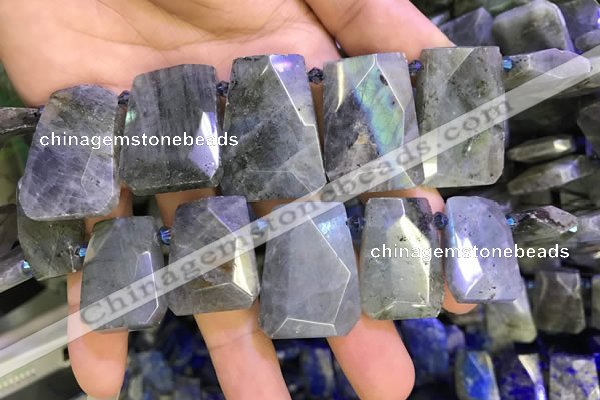 CTD2105 Top drilled 20*28mm - 22*32mm faceted freeform labradorite beads