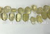 CTD2142 Top drilled 15*25mm - 18*25mm freeform lemon quartz beads