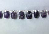 CTD2144 Top drilled 15*25mm - 18*25mm freeform dogtooth amethyst beads