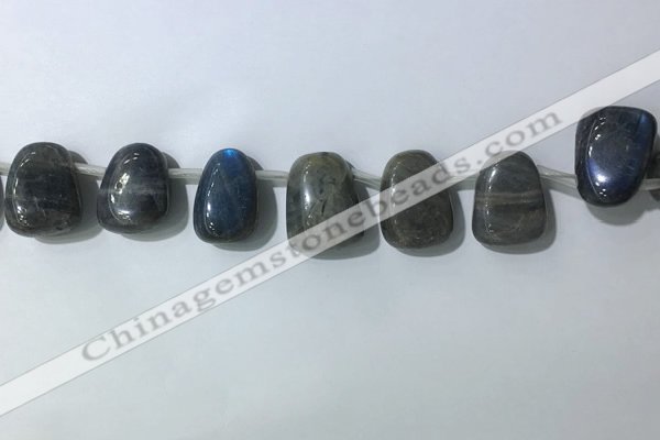 CTD2151 Top drilled 15*25mm - 18*25mm freeform labradorite beads