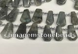 CTD2275 Top drilled 16*28mm - 20*30mm faceted freeform labradorite beads