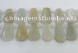 CTD2361 Top drilled 16*18mm - 20*30mm faceted freeform moonstone beads