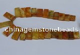 CTD2665 Top drilled 14*27mm - 16*42mm rectangle agate jasper beads