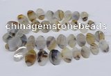 CTD2825 Top drilled 15*25mm - 25*35mm freeform Montana agate beads