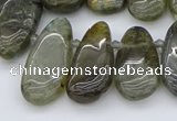 CTD3531 Top drilled 10*22mm - 15*45mm freeform labradorite beads