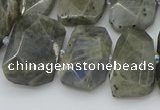 CTD3573 15.5 inches 15*20mm - 18*25mm freeform labradorite beads