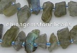 CTD3631 Top drilled 6*15mm - 10*20mm nuggets labradorite beads