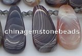 CTD3647 Top drilled 10*20mm - 15*45mm freeform matte botswana agate beads