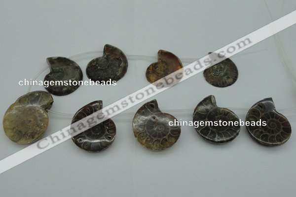 CTD365 Top drilled 25*35mm - 35*45mm carved ammonite gemstone beads