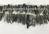 CTD3739 Top drilled 8*20mm - 10*50mm sticks labradorite beads