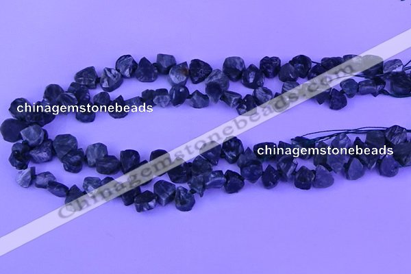 CTD3861 Top drilled 8*10mm - 10*12mm freeform seraphinite beads