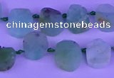 CTD3894 Top drilled 10*12mm - 10*14mm freeform Australia chrysoprase beads