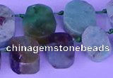 CTD3895 Top drilled 12*16mm - 13*18mm freeform Australia chrysoprase beads