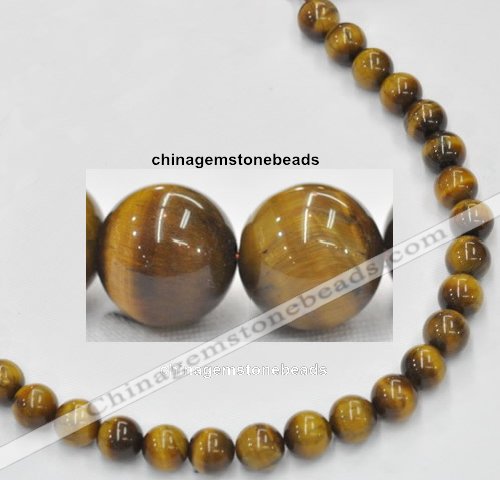 CTE08 15.5 inches 12mm round yellow tiger eye beads Wholesale