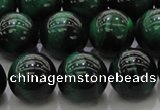 CTE1425 15.5 inches 14mm round green tiger eye beads wholesale