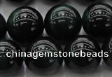 CTE1434 15.5 inches 12mm round green tiger eye beads wholesale