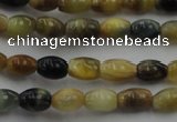 CTE1550 15.5 inches 4*6mm rice golden & blue tiger eye beads wholesale