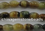 CTE1551 15.5 inches 5*8mm rice golden & blue tiger eye beads wholesale