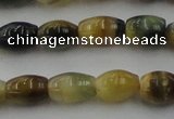 CTE1552 15.5 inches 6*10mm rice golden & blue tiger eye beads wholesale