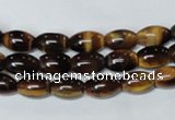 CTE158 15.5 inches 8*12mm rice yellow tiger eye gemstone beads