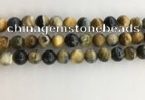 CTE2123 15.5 inches 12mm round golden & blue tiger eye beads