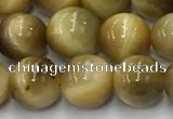 CTE2141 15.5 inches 8mm round golden tiger eye beads wholesale