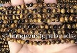 CTE2146 15.5 inches 5mm round yellow tiger eye beads wholesale