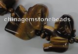 CTE339 15.5 inches 20*25mm animal yellow tiger eye gemstone beads