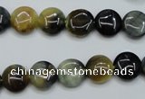 CTE560 15.5 inches 10mm flat round golden & blue tiger eye beads