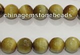 CTE903 15.5 inches 10mm faceted round golden tiger eye beads