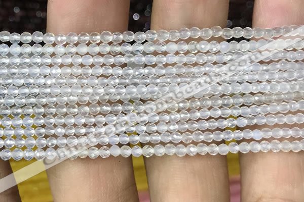 CTG1000 15.5 inches 2mm faceted round tiny white agate beads