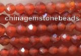 CTG1004 15.5 inches 2mm faceted round tiny red agate beads