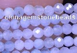 CTG1043 15.5 inches 2mm faceted round tiny aquamarine beads