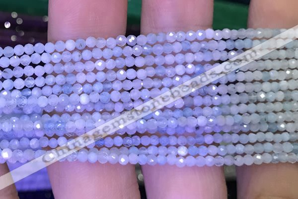 CTG1043 15.5 inches 2mm faceted round tiny aquamarine beads