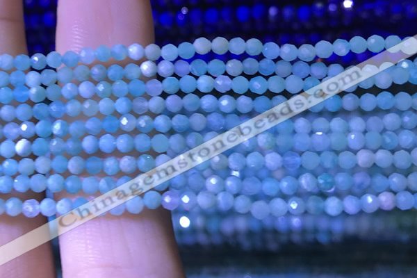 CTG1050 15.5 inches 2mm faceted round tiny amazonite beads