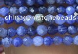 CTG1070 15.5 inches 2mm faceted round tiny sodalite beads