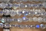 CTG1078 15.5 inches 2mm faceted round tiny labradorite beads