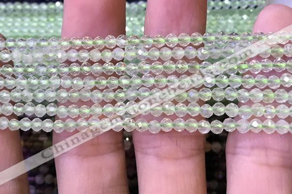 CTG1144 15.5 inches 3mm faceted round tiny prehnite gemstone beads