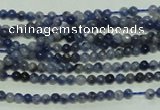 CTG115 15.5 inches 2mm round tiny sodalite gemstone beads wholesale