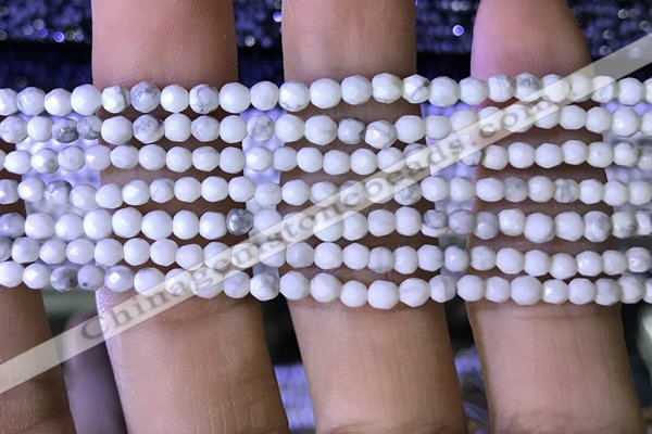 CTG1170 15.5 inches 3mm faceted round tiny white howlite beads