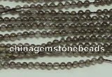 CTG120 15.5 inches 2mm round tiny smoky quartz beads wholesale