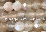 CTG1207 15.5 inches 4mm faceted round tiny rainbow moonstone beads