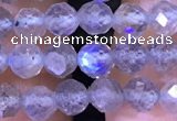 CTG1208 15.5 inches 4mm faceted round tiny labradorite beads