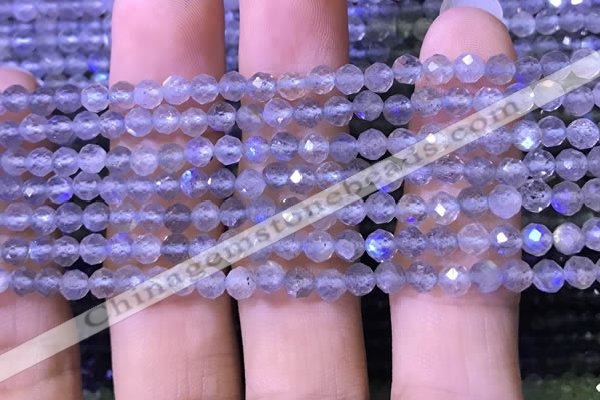 CTG1208 15.5 inches 4mm faceted round tiny labradorite beads